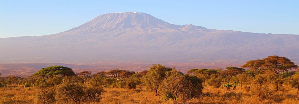 Studie: Einschätzung der deutschen Wirtschaft zu Afrika