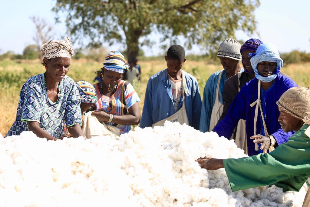 Partner Africa Senegal: Nachhaltige Baumwolltextilien aus Westafrika